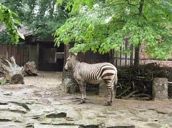 Tierpark Nordhorn